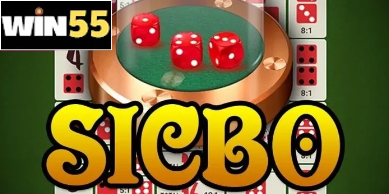 Sicbo Win55 - Trò Chơi Xúc Xắc Đỉnh Cao Trải Nghiệm 2025 2 Các kiểu cược sicbo phong phú, đáp ứng mọi sở thích của người chơi